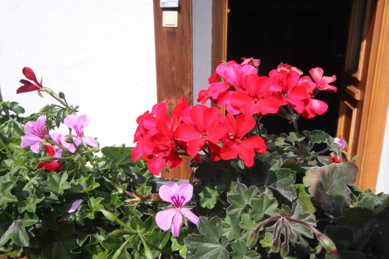 Ausfernerhof Daire Berwang Dış mekan fotoğraf